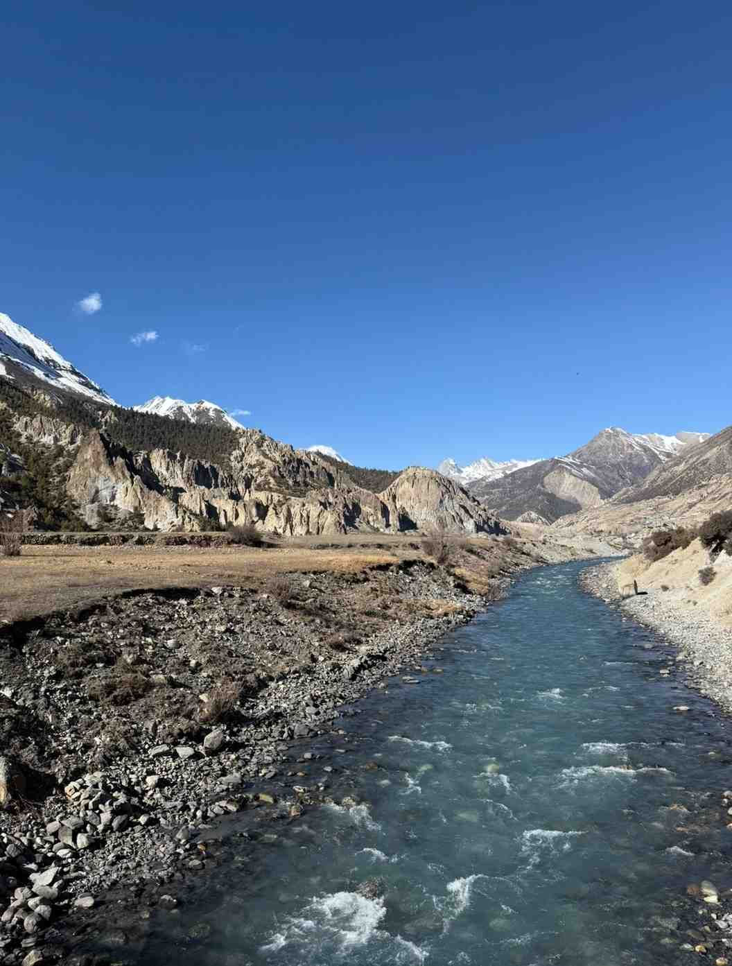 Qigong & Yoga Nature Wellness Retreats