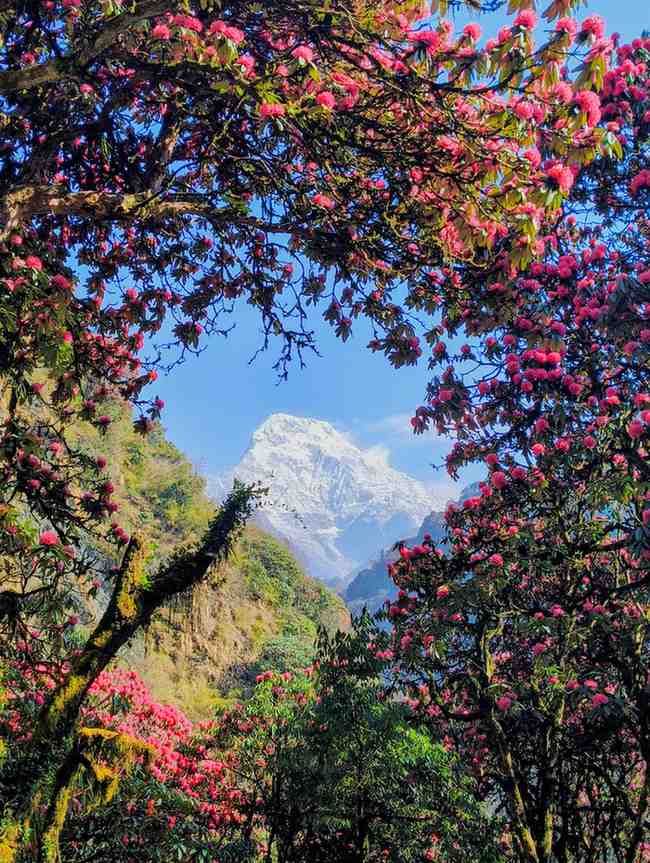 Yoga & Qigong Online Studio