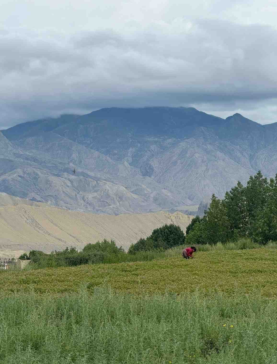 1:1 Personalized Yoga Class